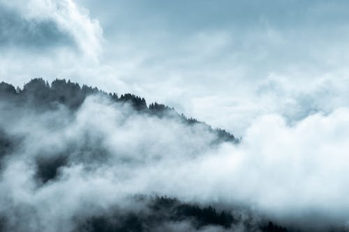 Free Clouds over Forest Stock Photo