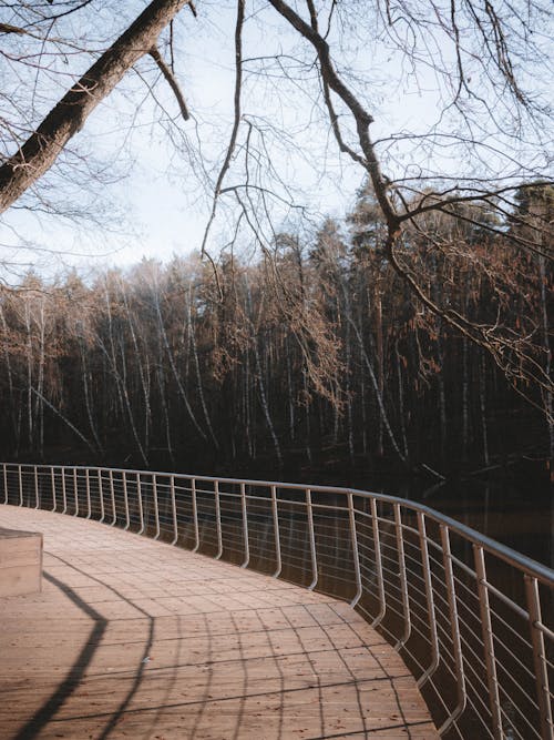Free A wooden walkway with trees and a river Stock Photo