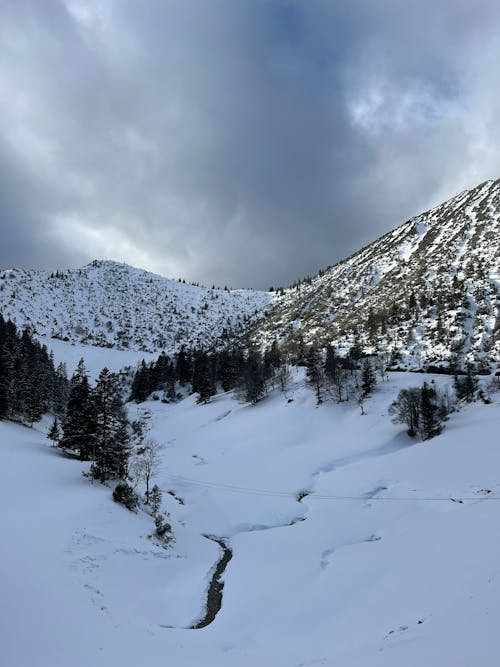 View of Mountains in Winter 