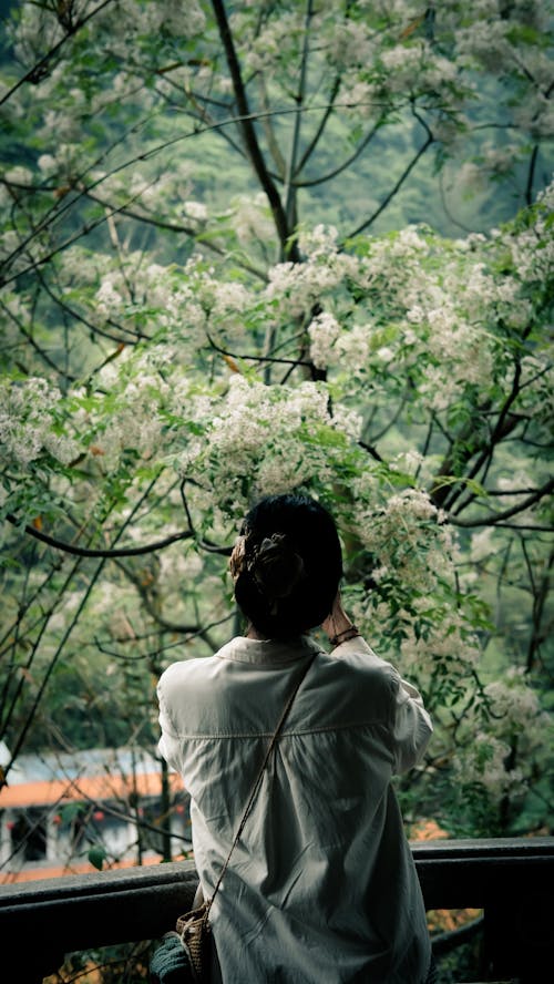 A woman looking out at a tree with flowers