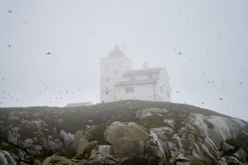 A foggy landscape photo of a lighthouse on a small island on the north coast of Norway, near Bleik with lots of birds flying or nesting