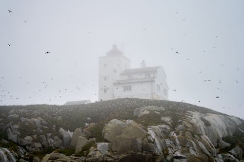 Fotobanka s bezplatnými fotkami na tému búrka, čajky, exteriéry