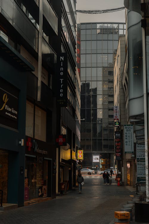 Free Photo of a Street at Dusk  Stock Photo