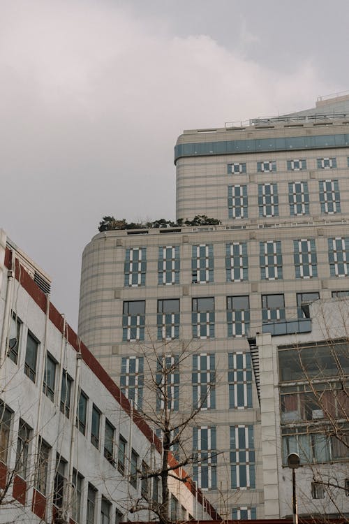 Základová fotografie zdarma na téma centra okresů, centrum města, exteriér budovy