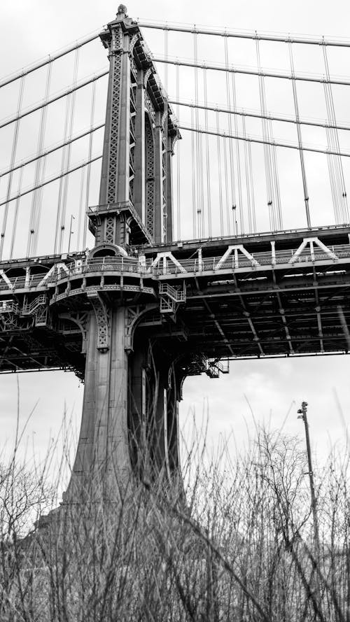 Free stock photo of bridge, bw, city