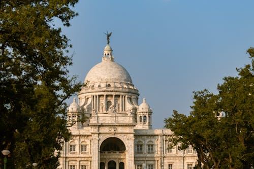 Kostnadsfri bild av antik, buskar, indien