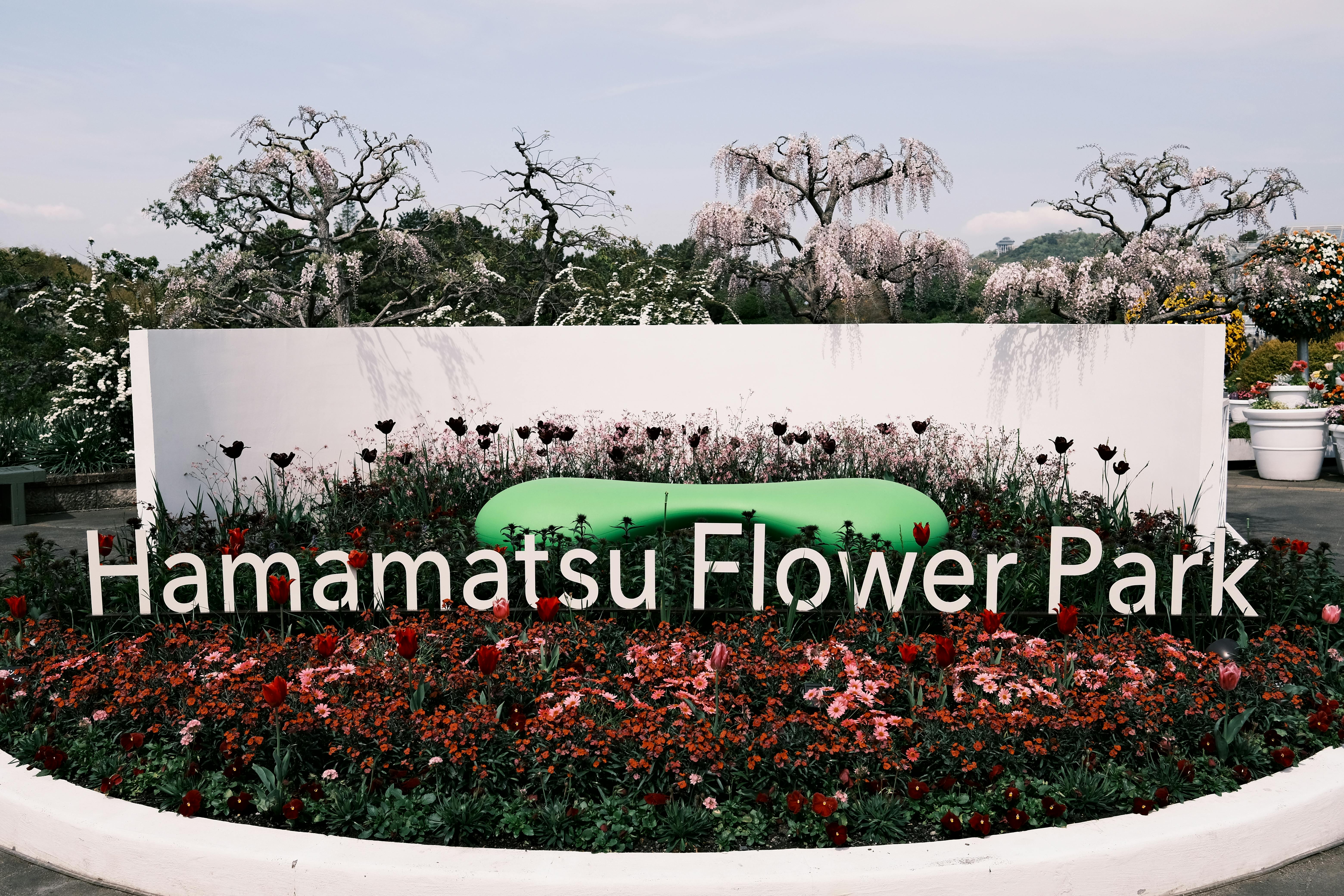 Vibrant spring flowers blooming in Hamamatsu Flower Park, Japan, with colorful signage.