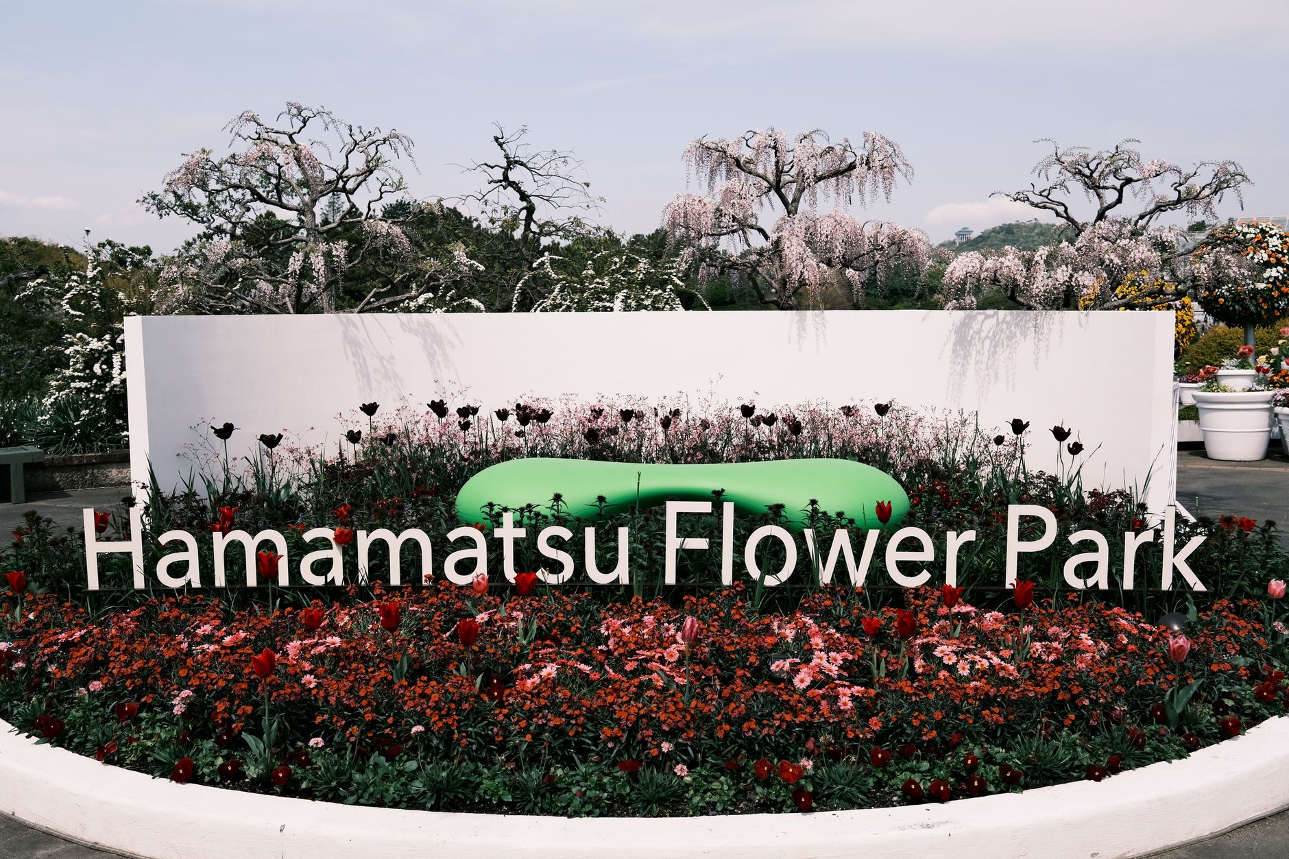 あしかがフラワーパークとは?北関東を代表する四季の花テーマパーク