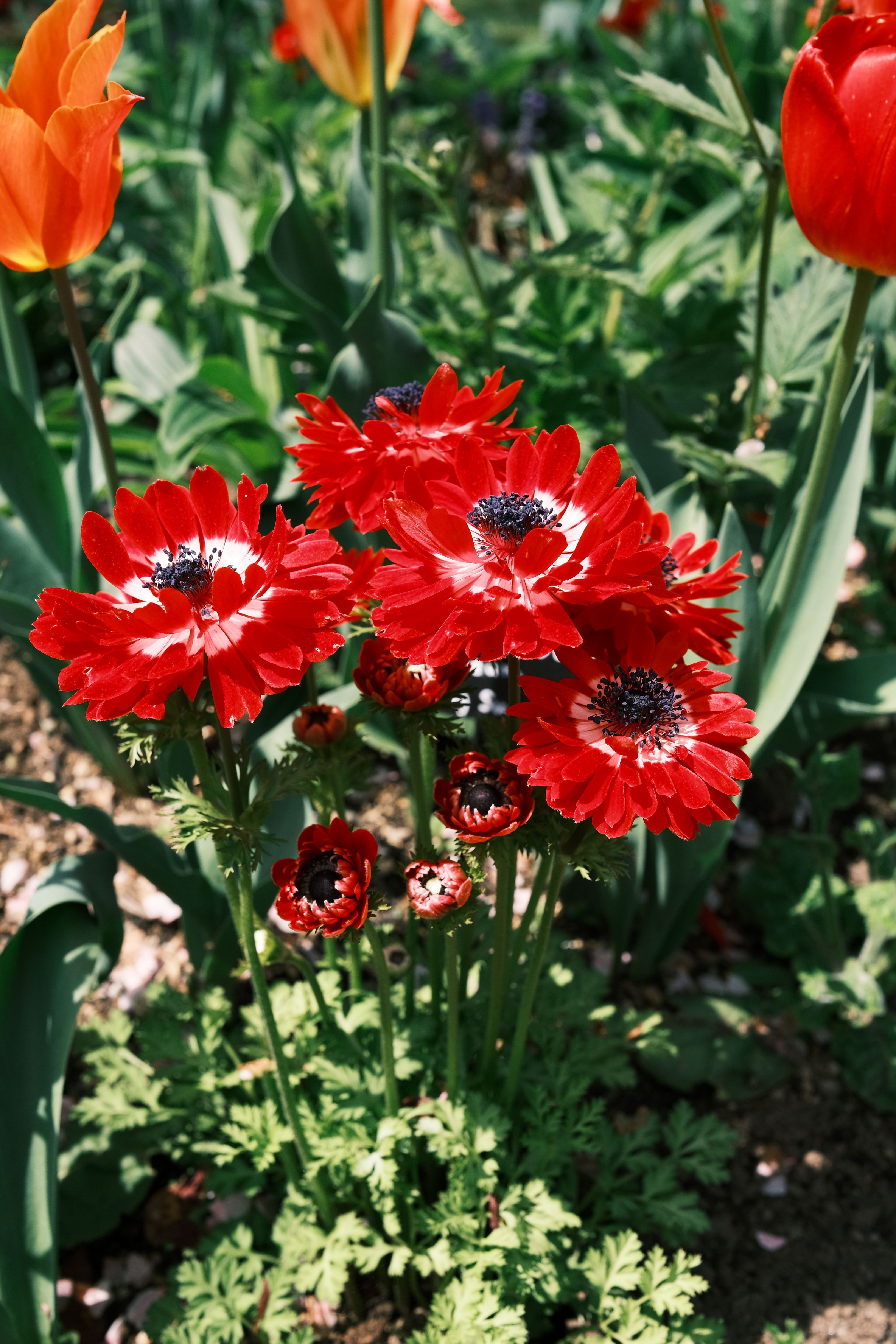 Classical-style floral arrangement