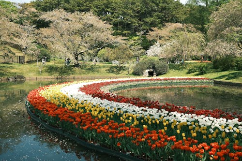 A circular garden with many different colored flowers