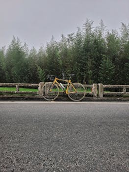 Yellow vintage bicycle parked on a forest road with evergreen trees on a cloudy day.