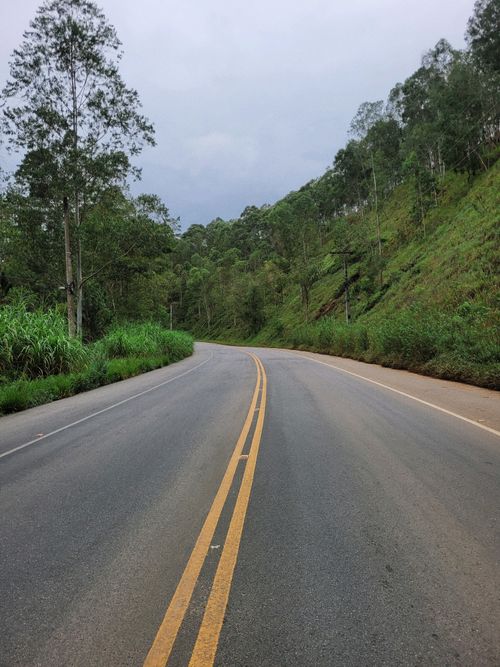 Free A serene road winding through a lush green forest, perfect for nature and travel themes. Stock Photo