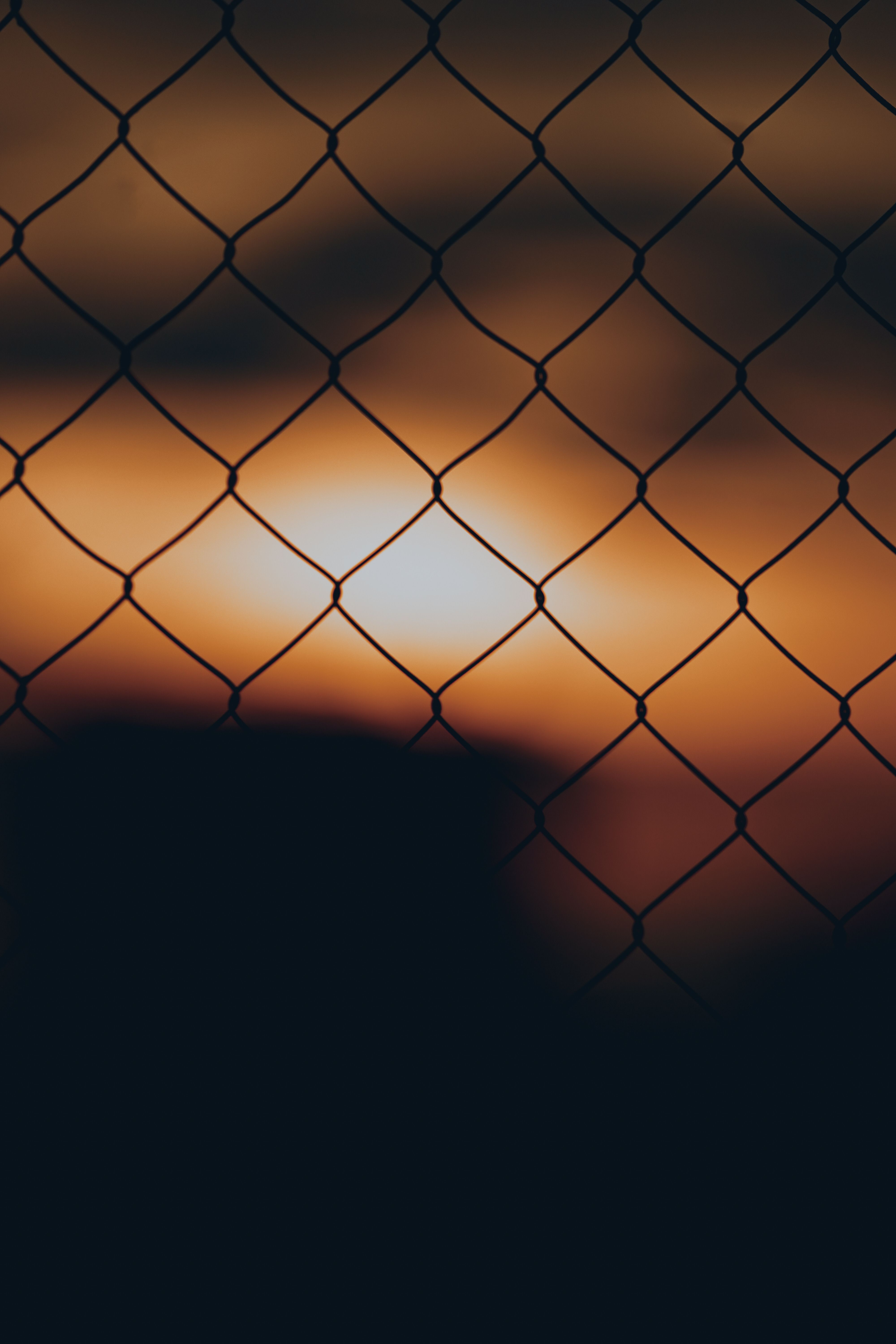 Photo by el jusuf on pexels