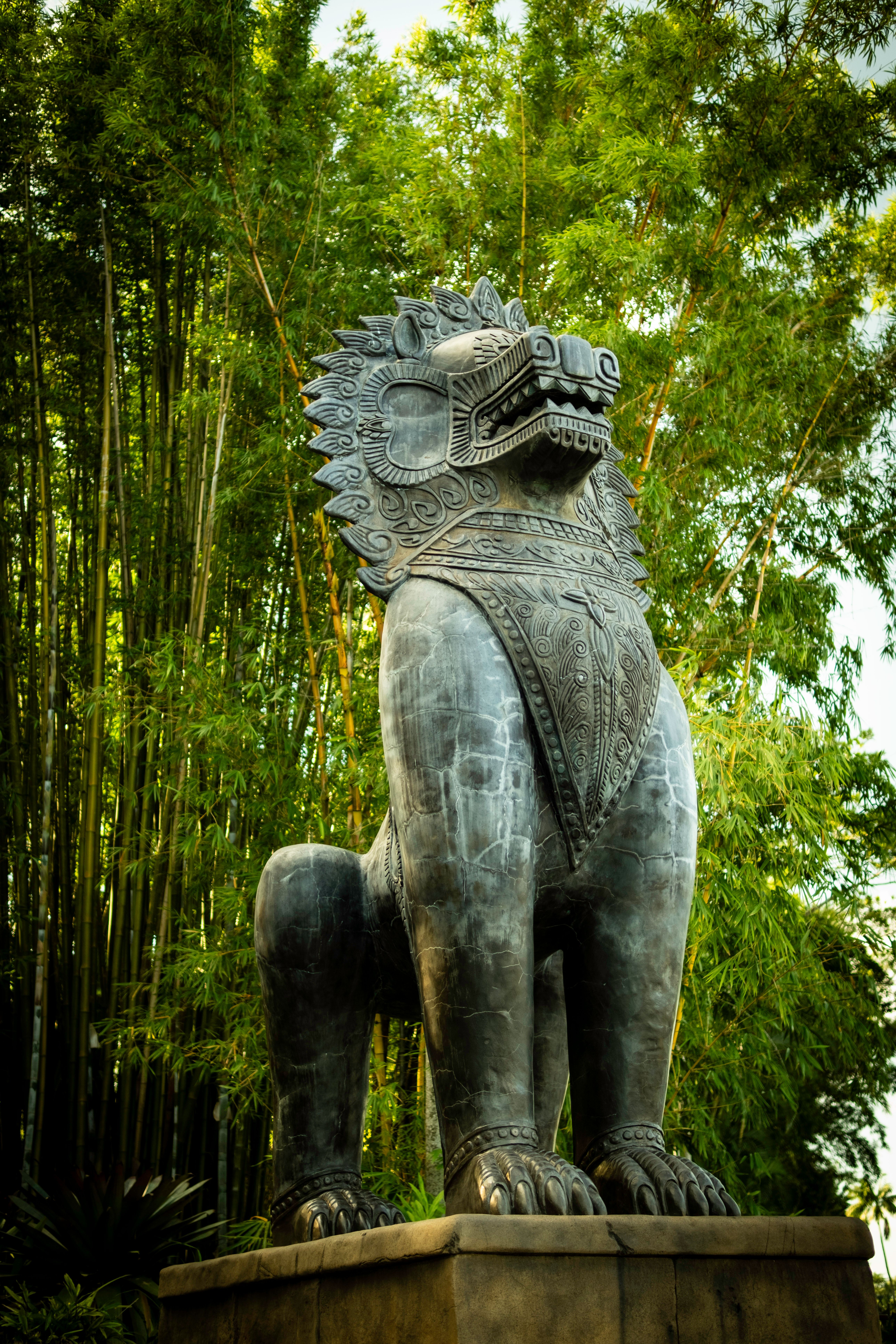 Majestic carved stone statue surrounded by lush bamboo in Sunshine Coast, Australia.