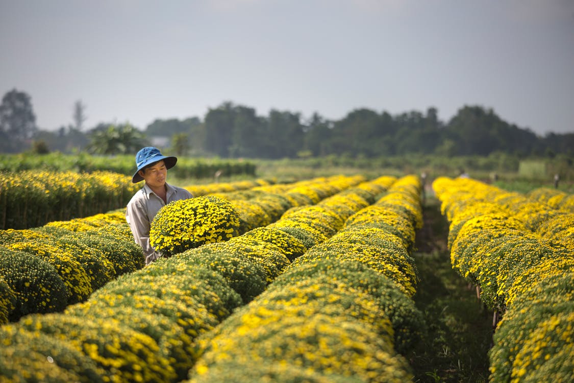 Man in the Middle of Green Grass Field