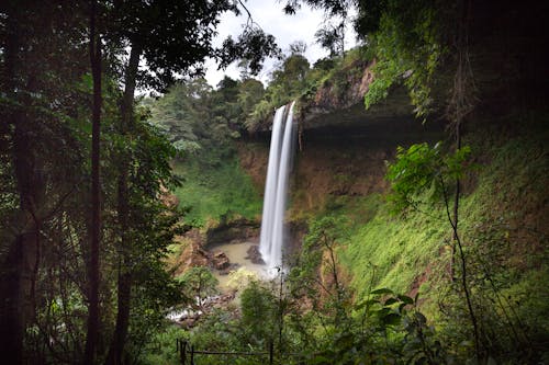 Paisaje De Cascadas