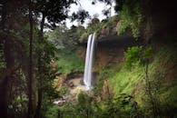 瀑布从郁郁葱葱的雨林中倾泻而下，展现了大自然的美丽