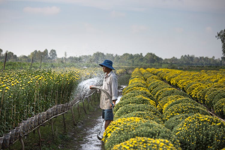 Man Watering Plants