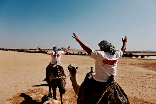 Бесплатное стоковое фото с бедуин, братья и сестры, верблюд
