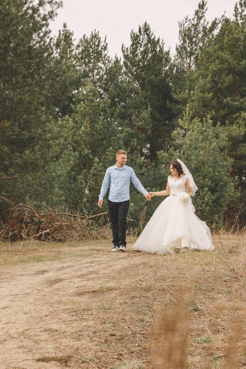 결혼, 나무, 남자의 무료 스톡 사진