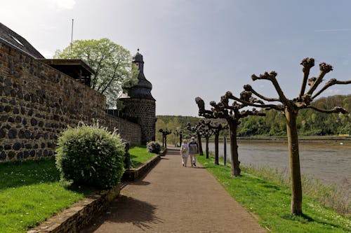 Spaziergang am Rhein