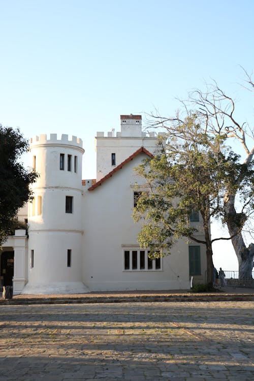 Fotos de stock gratuitas de árbol, casa, casas