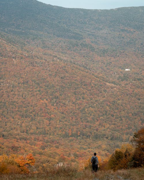 Back View of a Man Walking Down the Hill with a Scenic View of Autumnal Trees