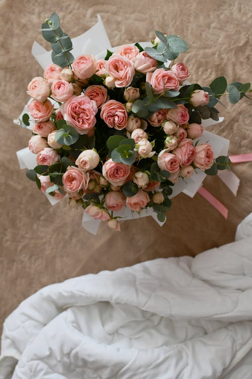 Free A bouquet of pink roses is sitting on a bed Stock Photo