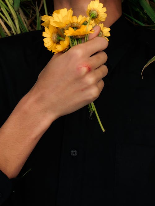 Gratis stockfoto met bloemblaadjes, bloemen, calendula officinalis