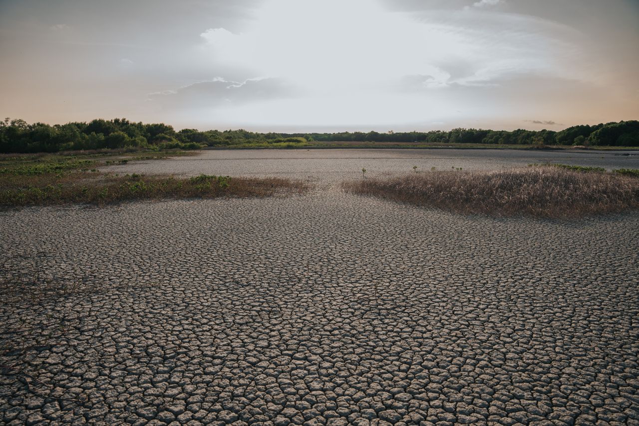 Global Heat Waves Driven by El Niño, Jet Stream, and Climate Change