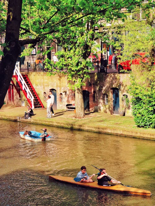 Immagine gratuita di alberi, canale, divertimento