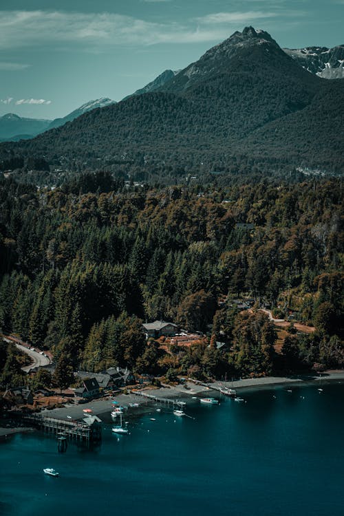 Drone Shot of a Lakeshore, a Forest and Mountains