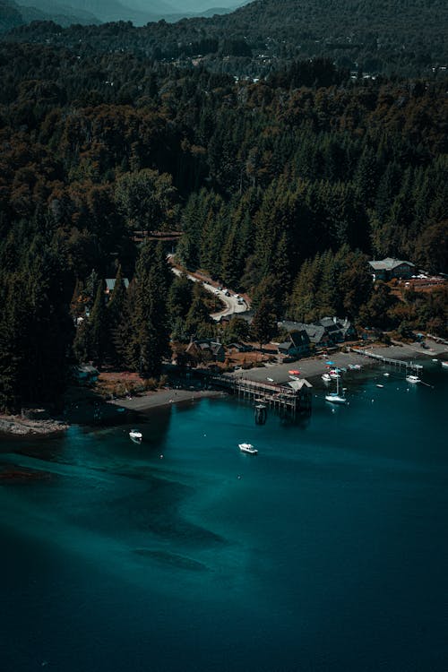 Drone Shot of a Lakeshore and a Forest 