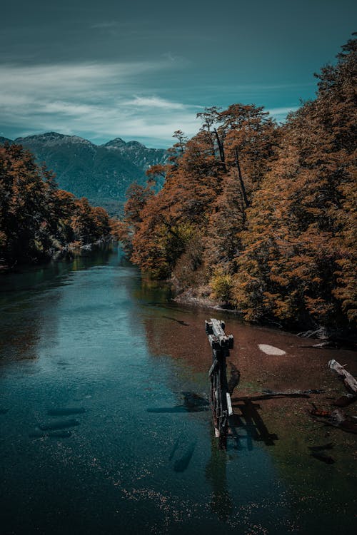 Scenic View of a Body of Water, Autumnal Trees and Distant Mountains 