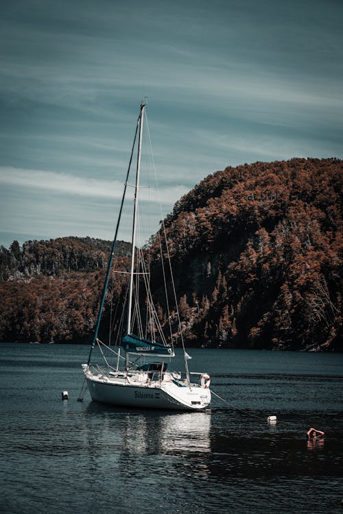 Immagine gratuita di alberi, autunno, barca