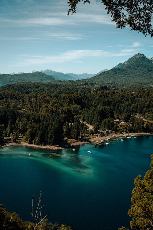 Foto profissional grátis de Argentina, árvores, lago