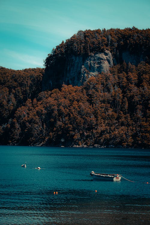 View of a Boat Moored near the Cliff Covered with Autumnal Trees