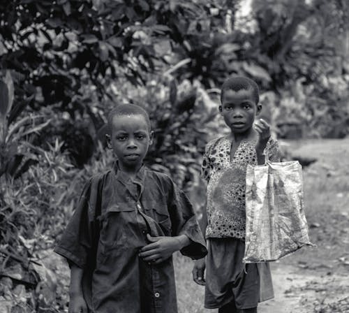 Foto d'estoc gratuïta de arbustos, blanc i negre, burundi