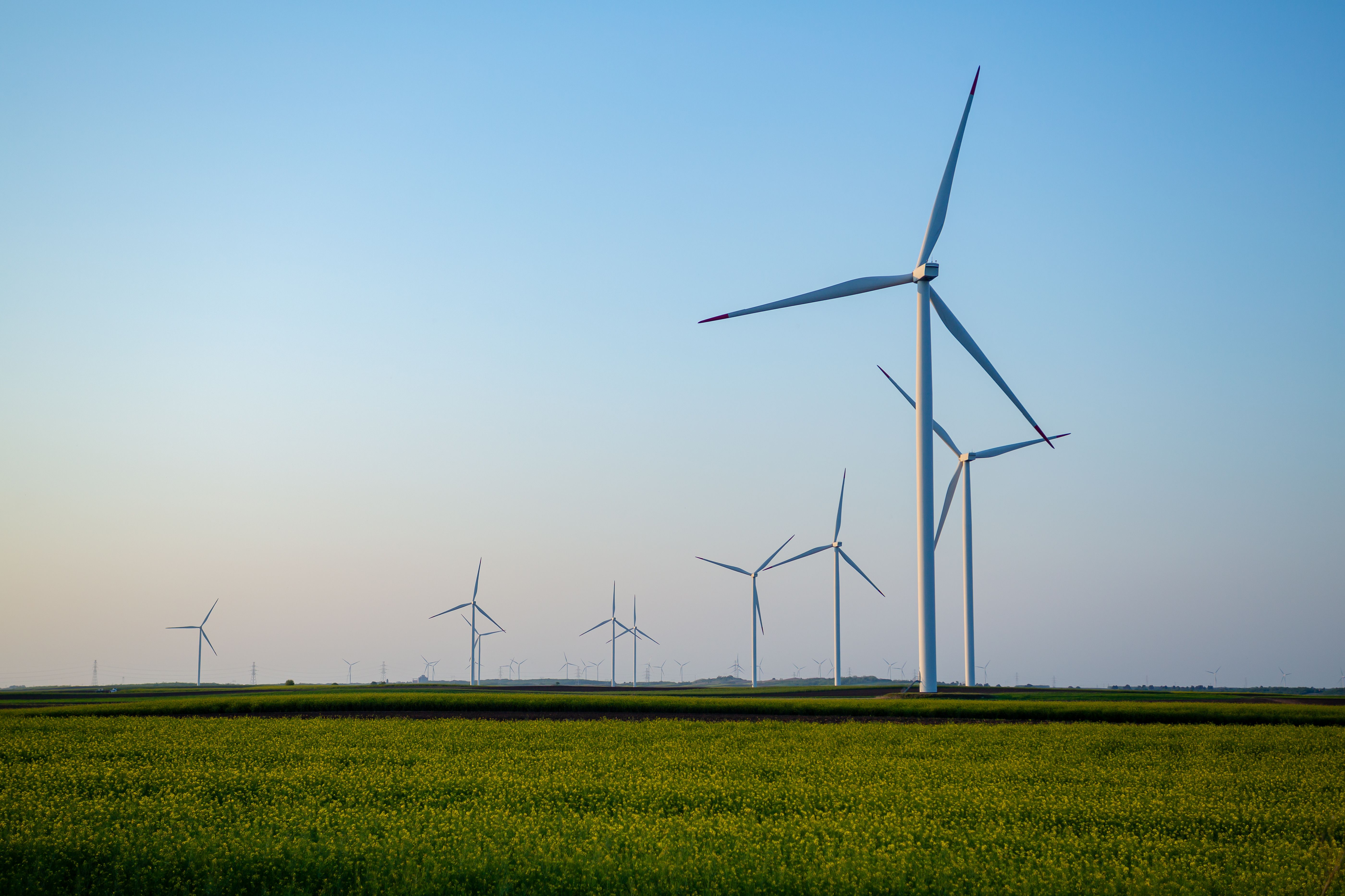Wind turbines in a green field under a clear sky near Belgrade, Serbia, showcasing renewable energy.