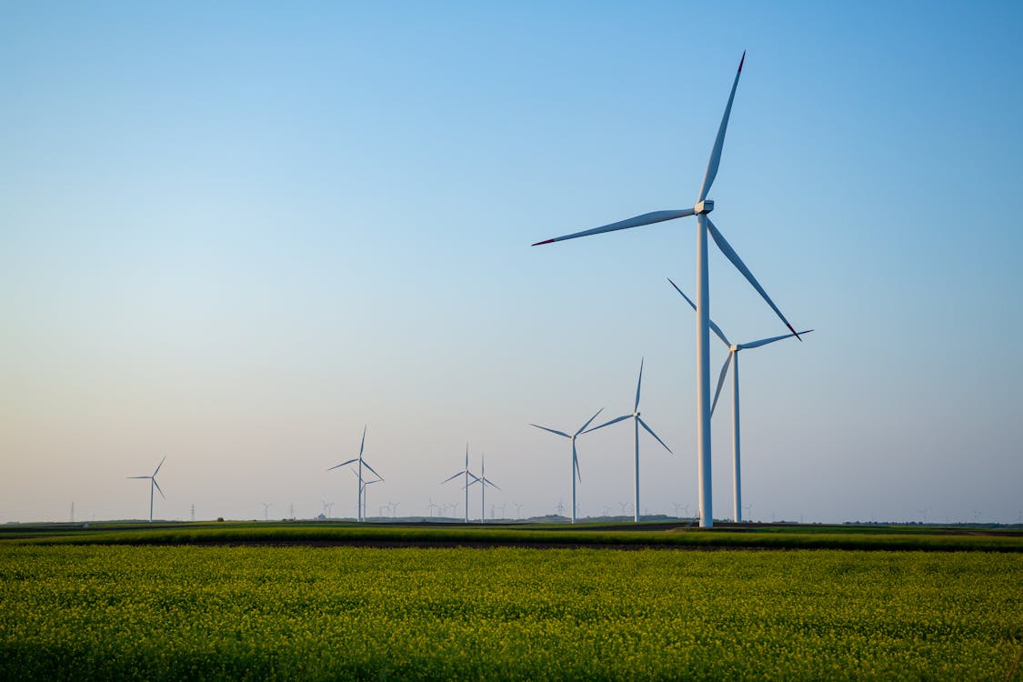 Free Wind turbines in a field with a blue sky Stock Photo