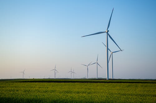 Free Wind turbines in a field with a blue sky Stock Photo