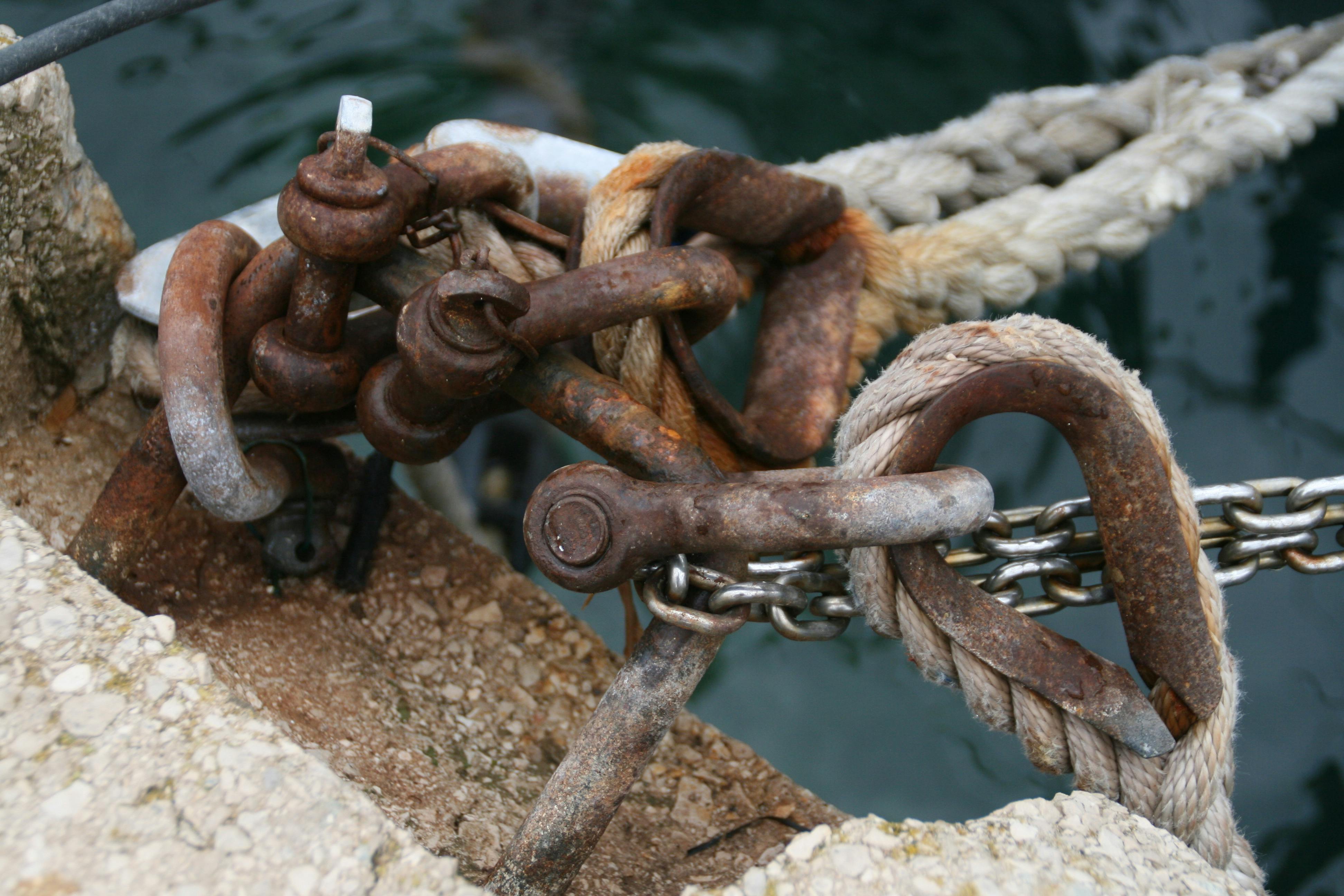 Kostenloses Foto zum Thema knoten