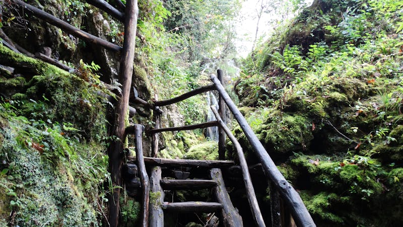Escaliers en bois au milieu d'une verdure luxuriante à Rastoke, Croatie
