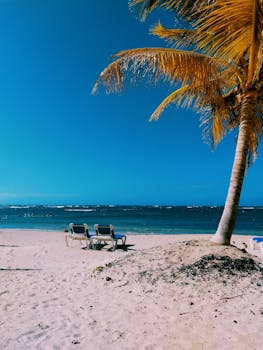 Idyllic Puerto Plata beach scene with coconut trees and clear blue waters.
