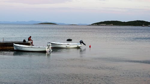 昼間のビーチで2つの白いボート