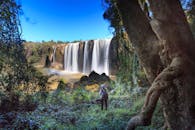 徒步冒险时，旅行者在白天欣赏到了郁郁葱葱的森林瀑布的壮丽景色