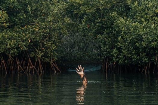 Immagine gratuita di acqua, aiuto, albero