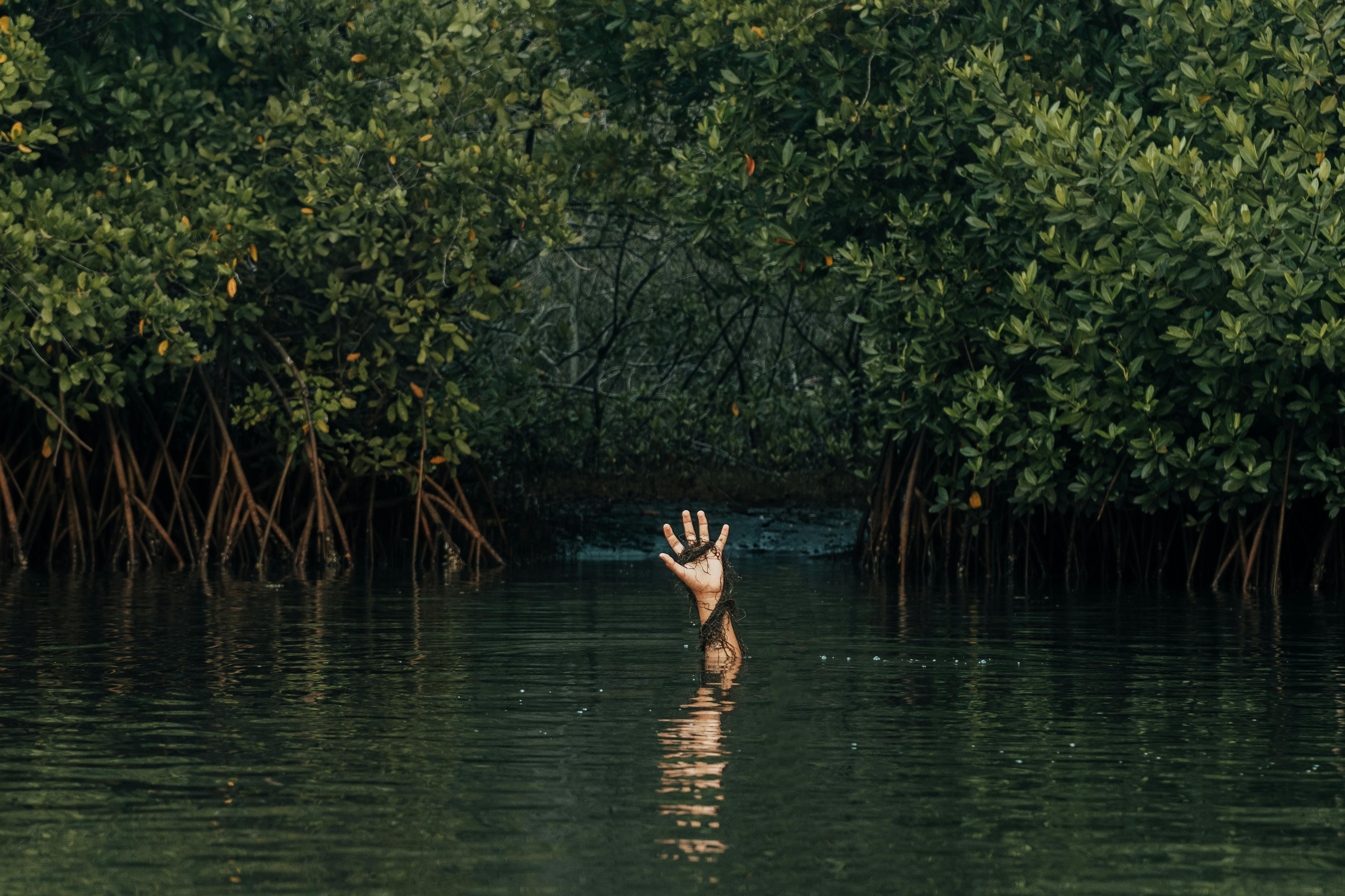 Oriana Schneps談《甲板下的冒險》與真人秀後的真實生活