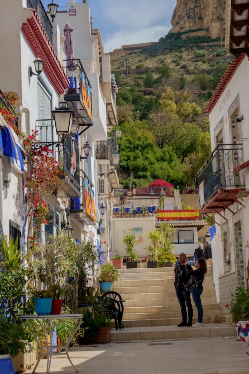 Gratis lagerfoto af aan lichtbak toevoegen, alicante, byens gader