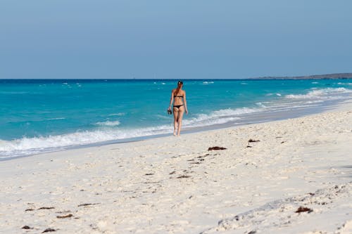 A woman walking on the beach with her dog